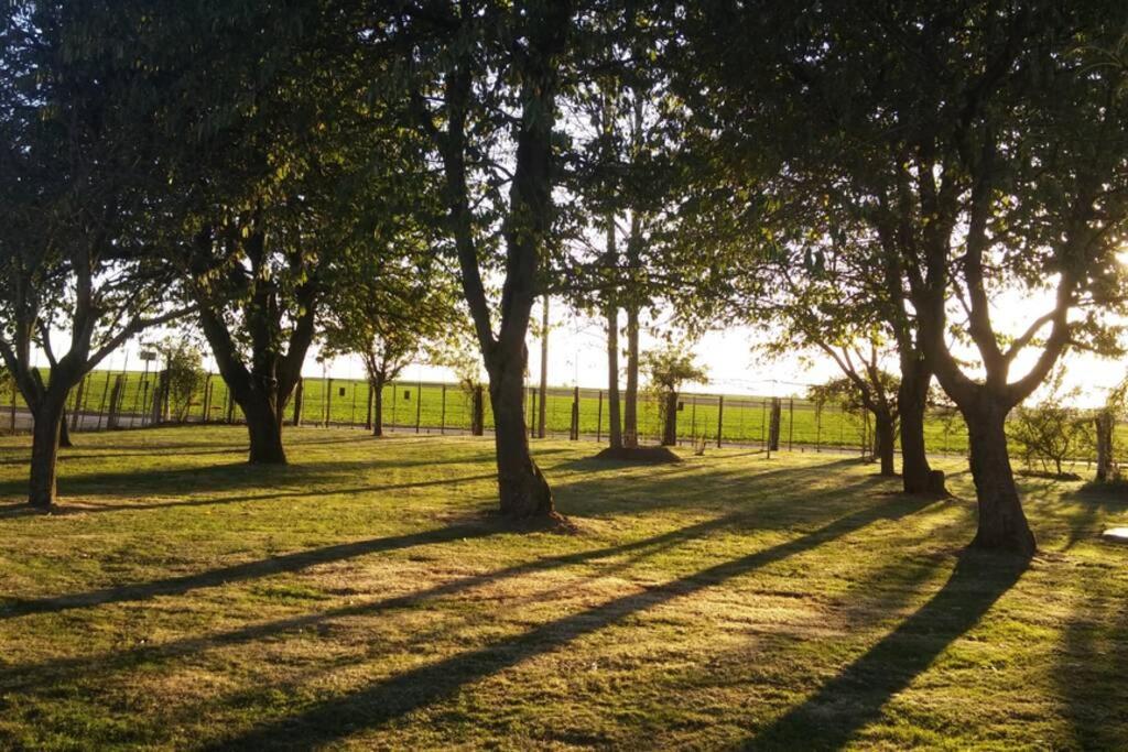 Chaumière du Château d'ô ,Gite 17 couchages Goupil-Othon Extérieur photo