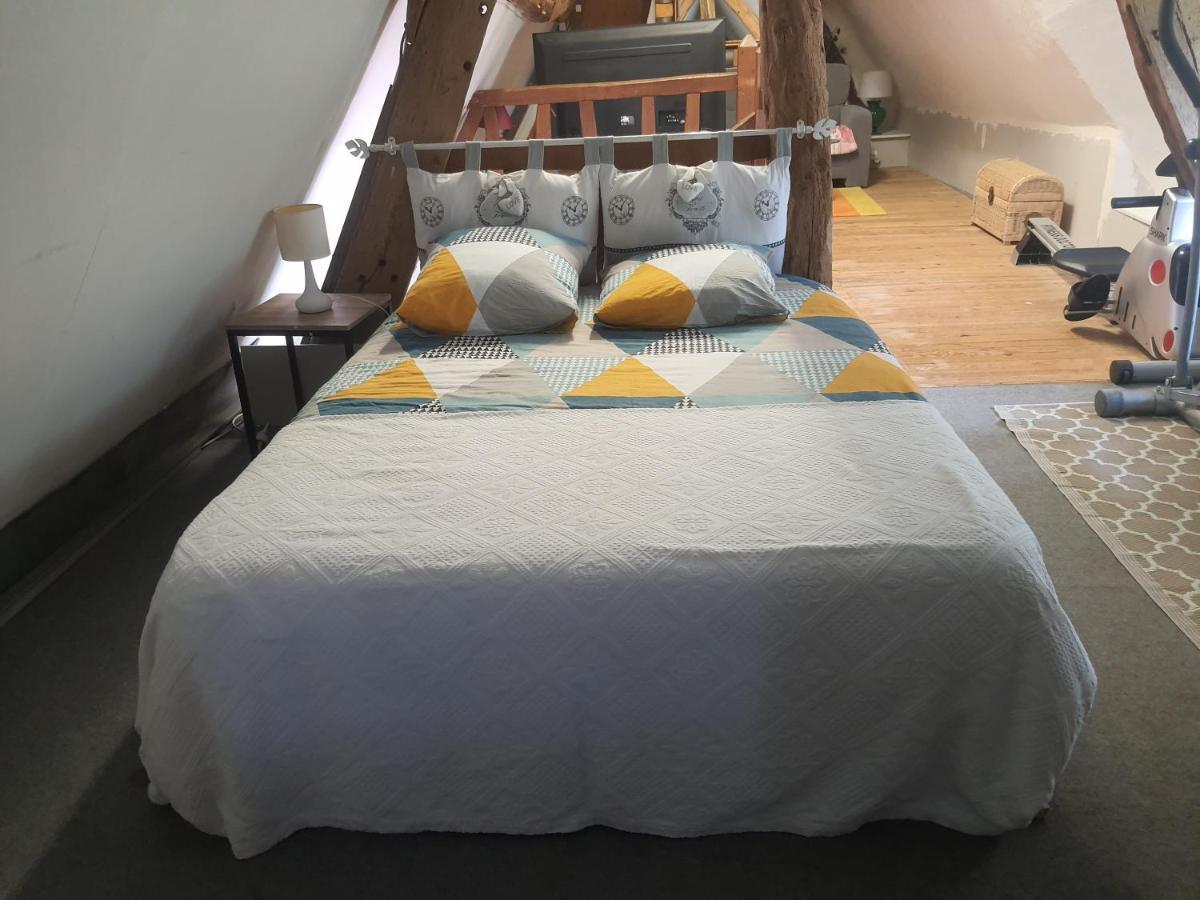 Chaumière du Château d'ô ,Gite 17 couchages Goupil-Othon Extérieur photo